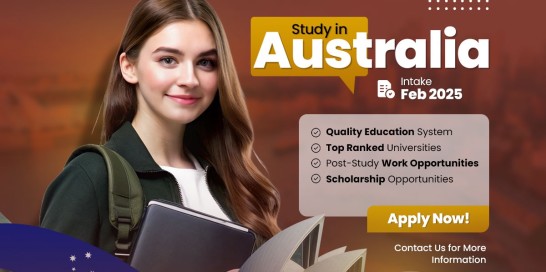 WhatsApp Image 2024-11-14 at 1